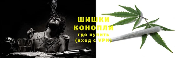 МДПВ Новосибирск