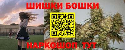 прущие грибы Абакан