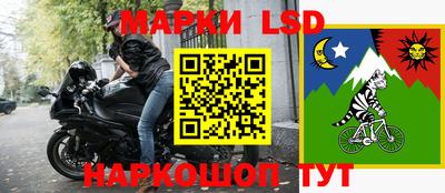 прущие грибы Абакан