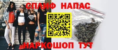 прущие грибы Абакан