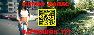 прущие грибы Абакан