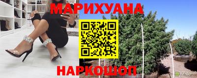 прущие грибы Абакан