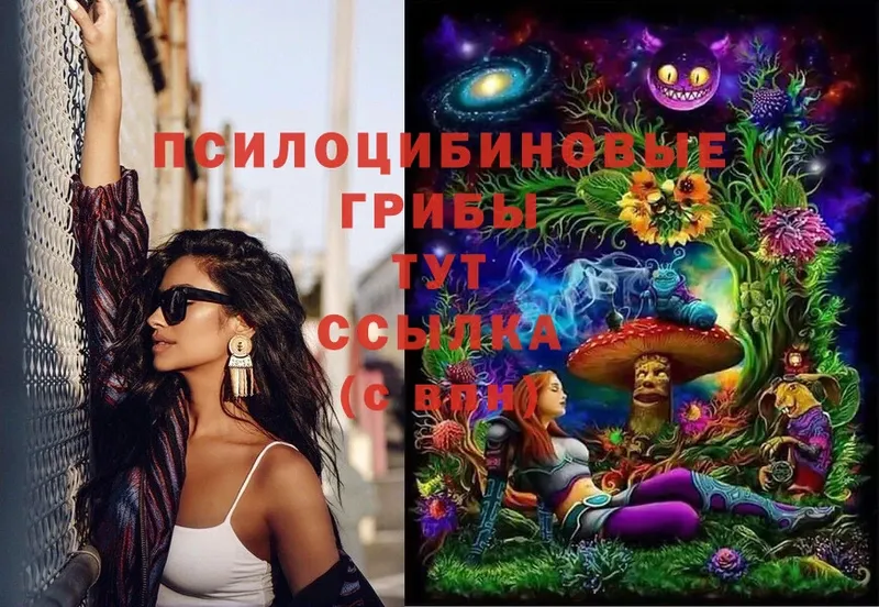 Галлюциногенные грибы MAGIC MUSHROOMS  Вольск 