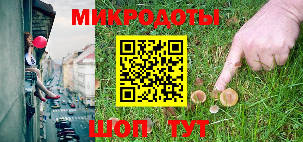 Псилоцибиновые грибы Cubensis Вольск