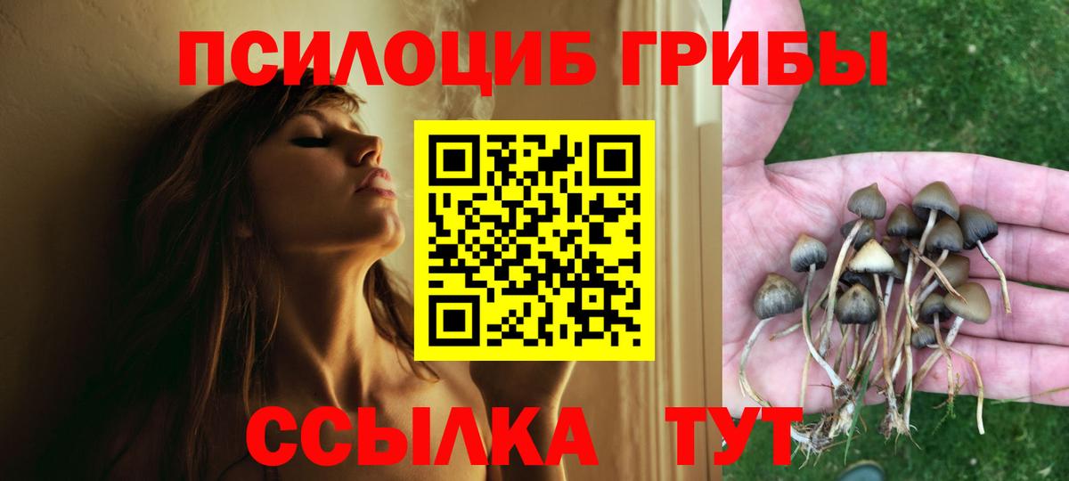 Галлюциногенные грибы GOLDEN TEACHER Вольск