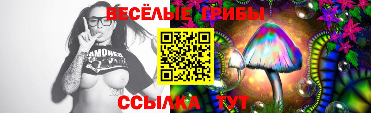 Псилоцибиновые грибы мухоморы  Галлюциногенные грибы Magic Shrooms  Вольск 
