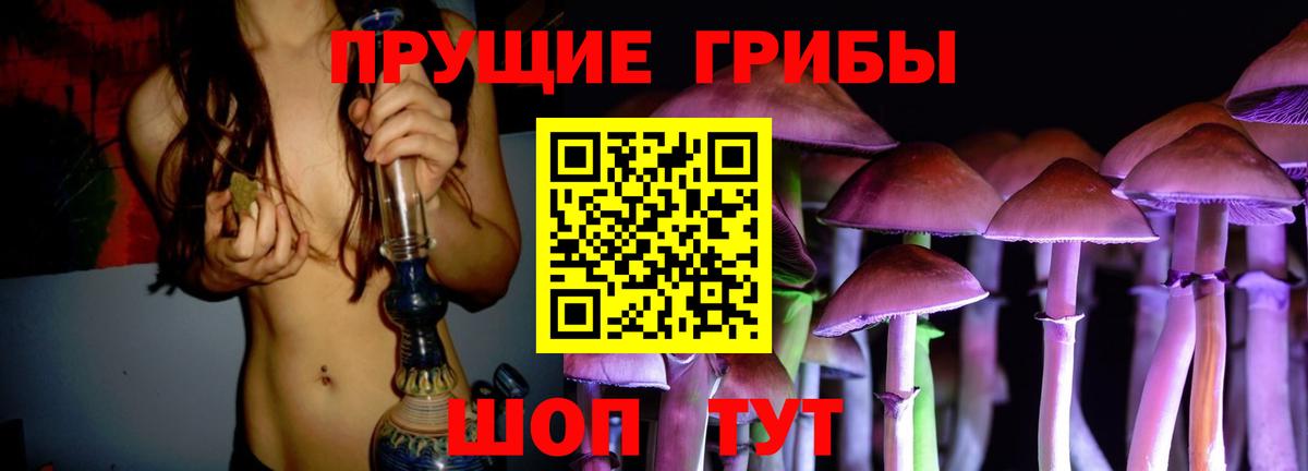 Галлюциногенные грибы MAGIC MUSHROOMS  наркота  Вольск  Псилоцибиновые грибы ЛСД  Вход с VPN 